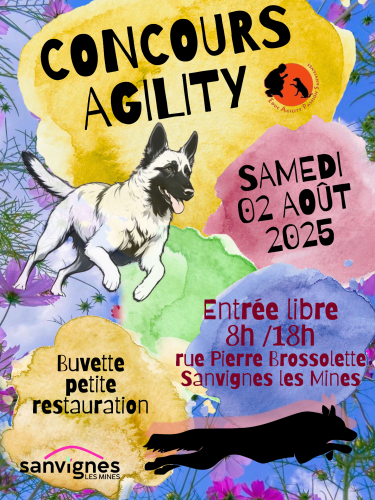 concours agility le 2 août prochain rue Pierre Brossolette terrain agility